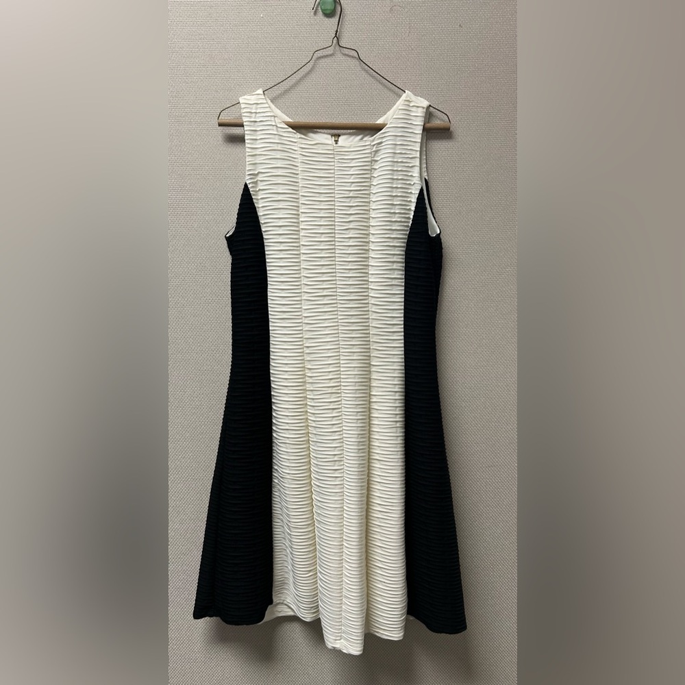 Ronni Nicole fit and flare dress